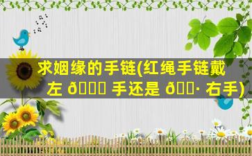 求姻缘的手链(红绳手链戴左 🐅 手还是 🕷 右手)